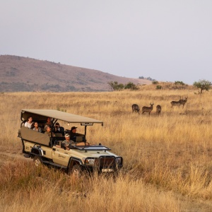 Game Drive